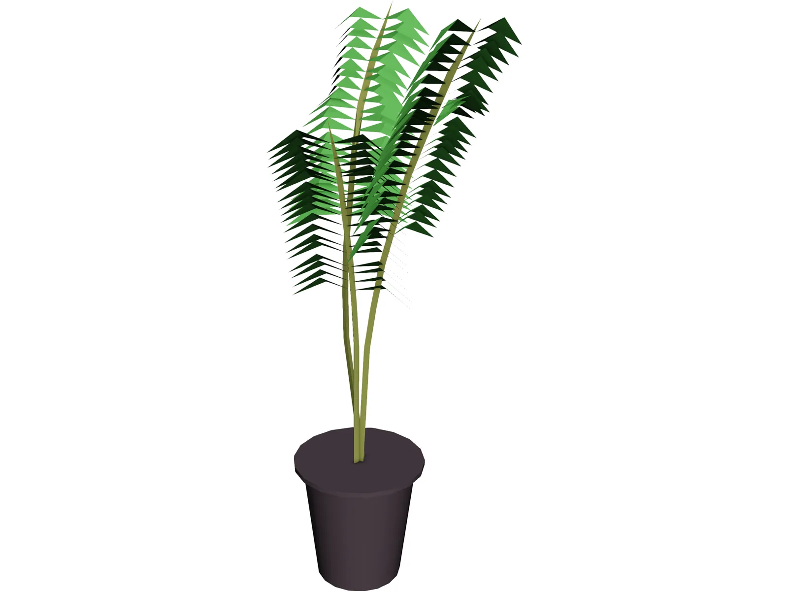 Potted Fern 3D Model main preview