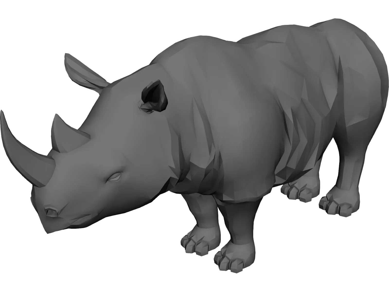 Rhino 3D Model main preview
