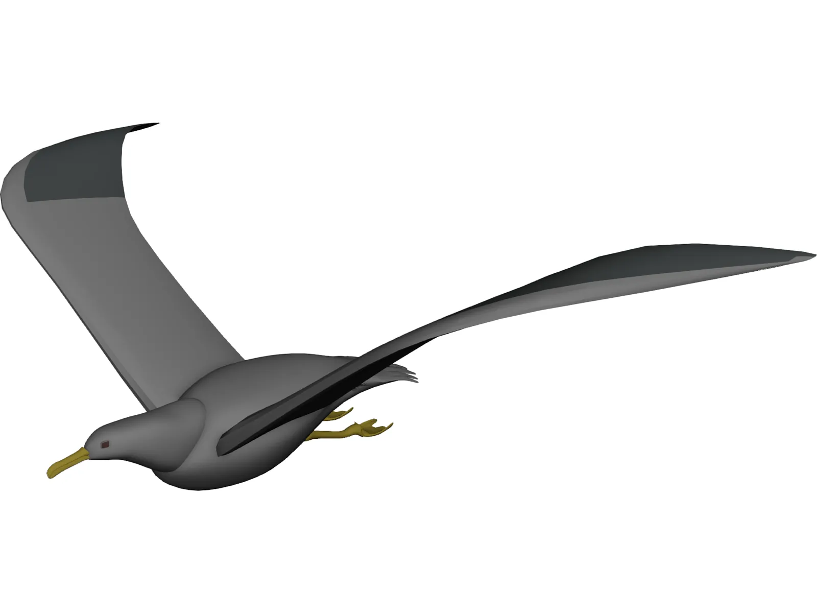 Seagull Flying 3D Model main preview