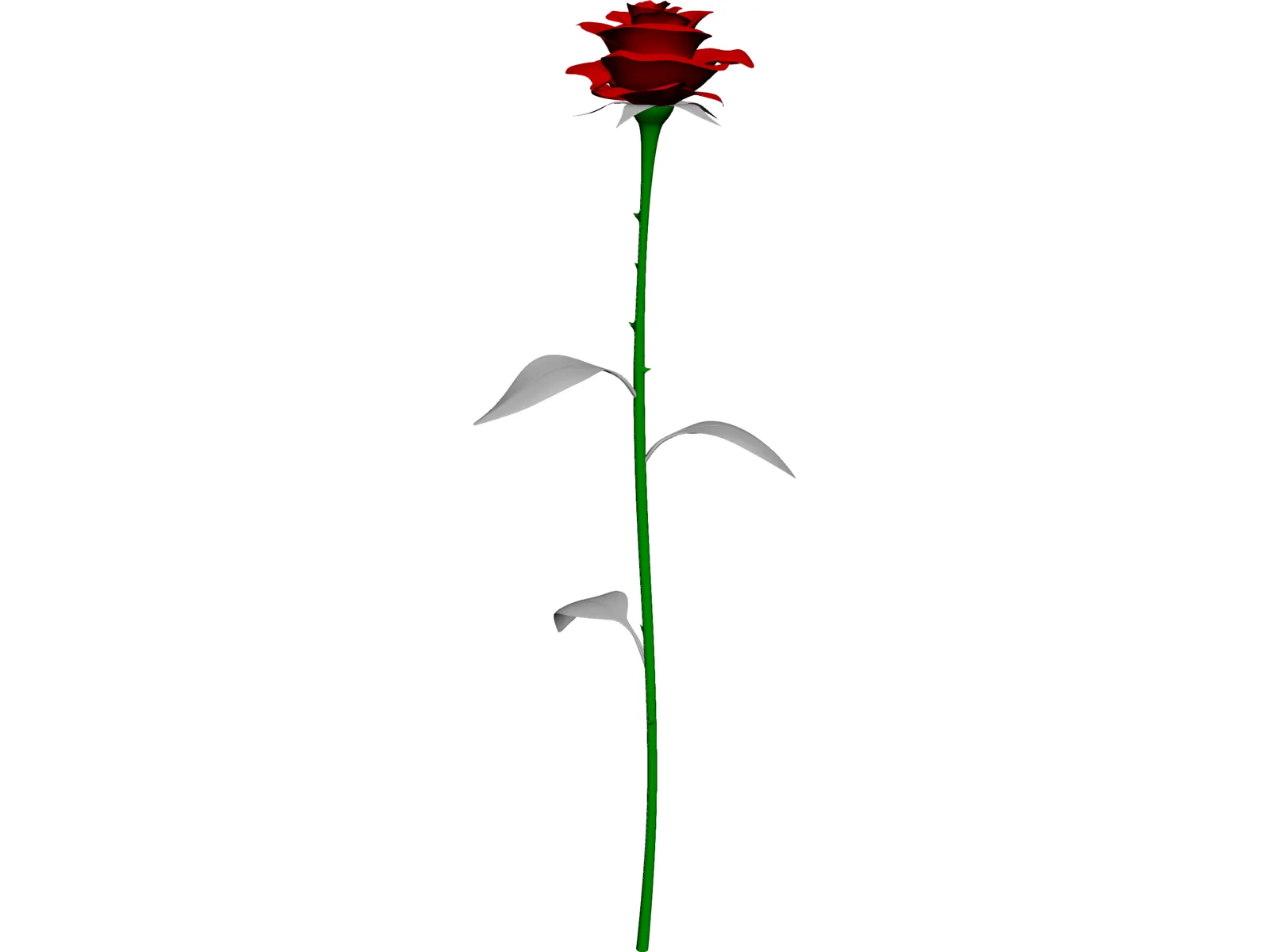 Rose 3D Model main preview