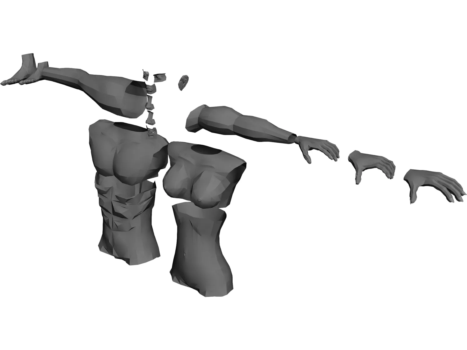 Modular Body Parts 3D Model main preview