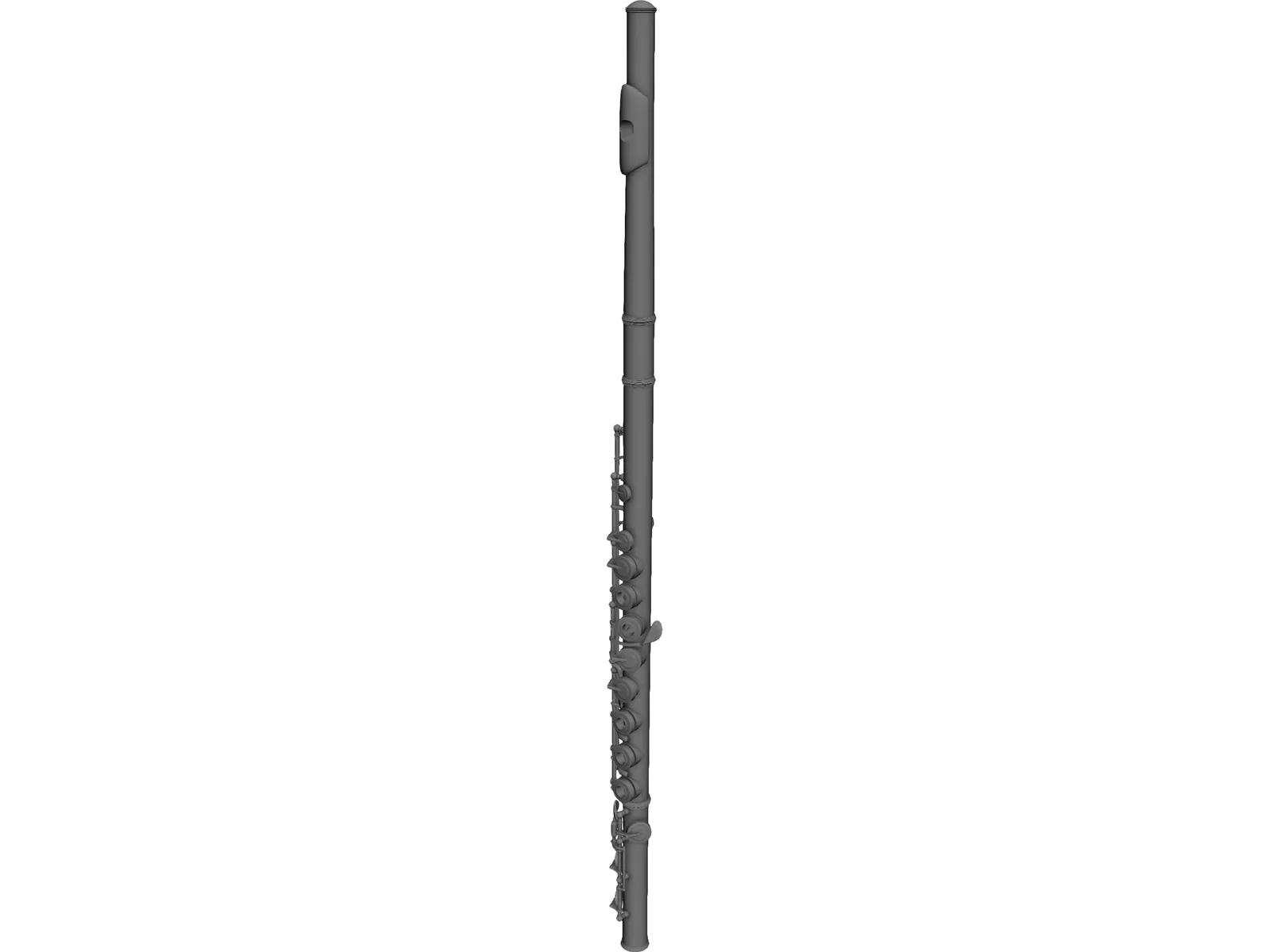Flute 3D Model main preview