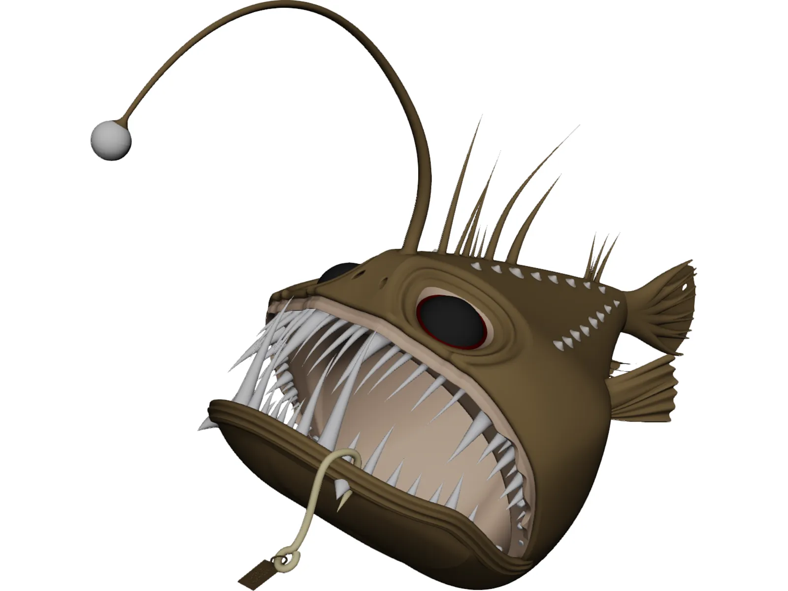 Angler Fish Angus 3D Model main preview