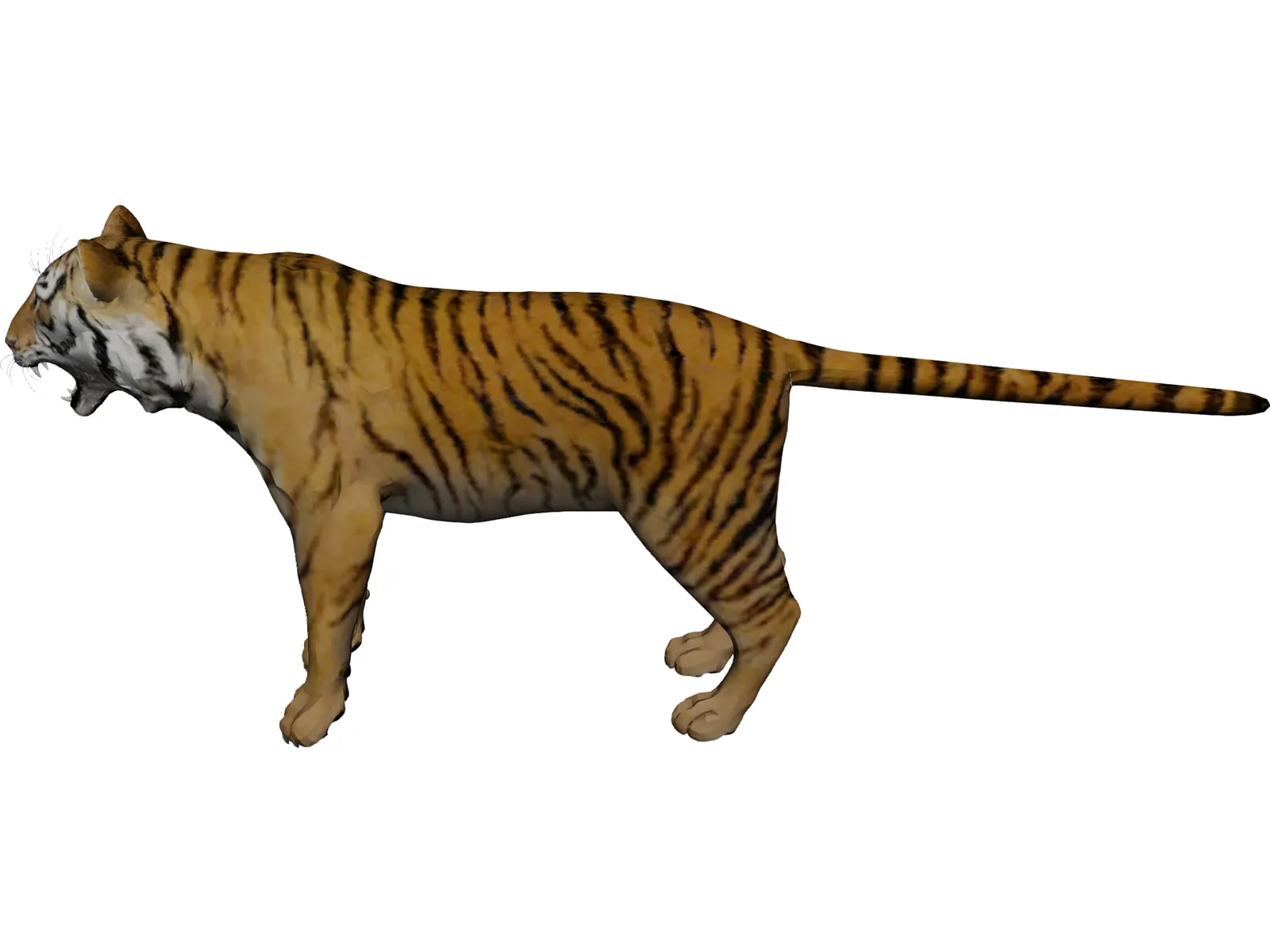Bengal Tiger 3D Model main preview