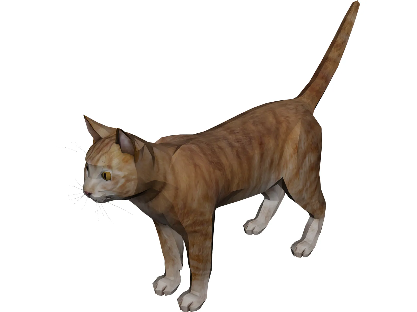 Cat 3D Model main preview
