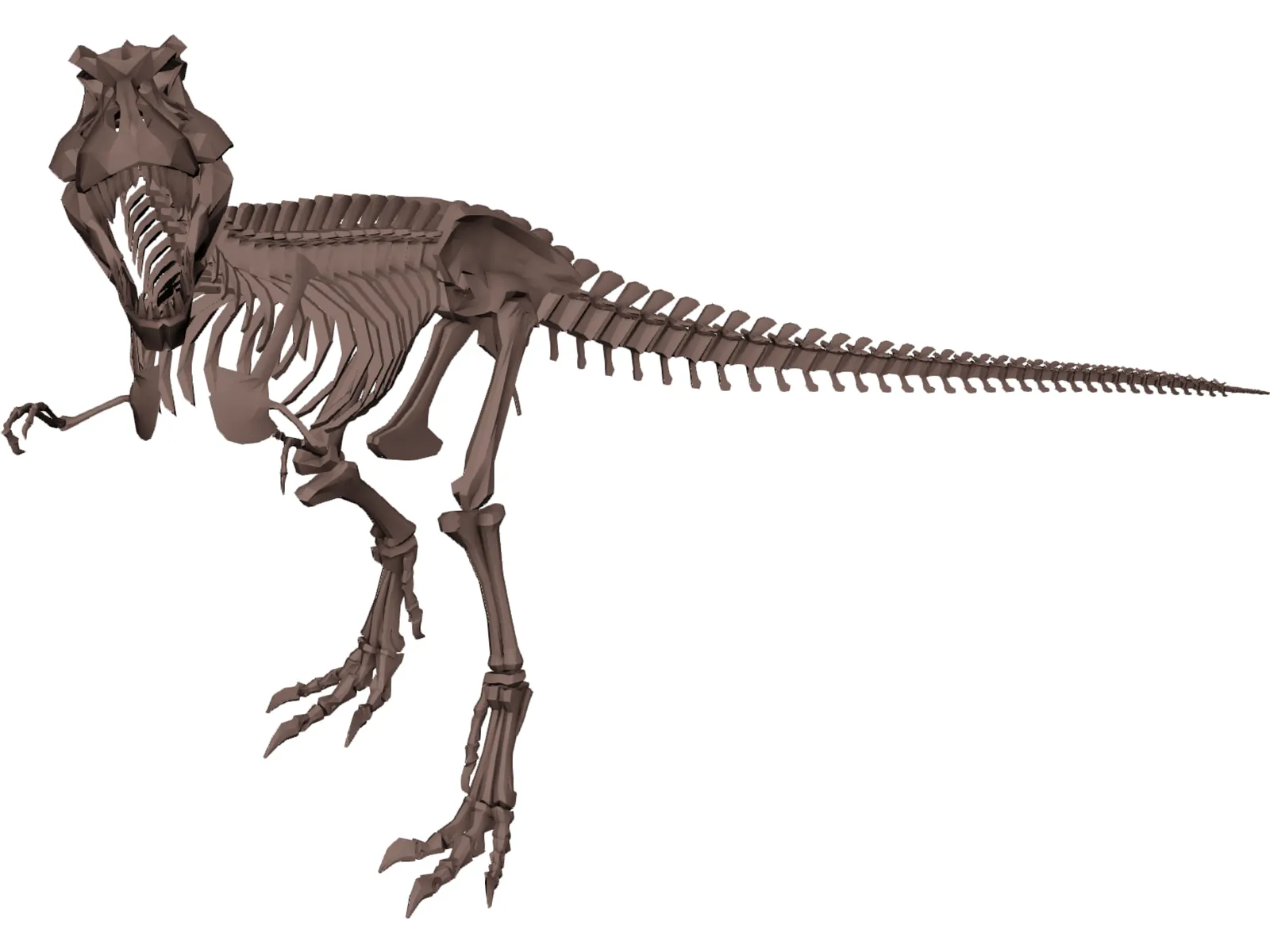 Dinosaur Skeleton 3D Model main preview