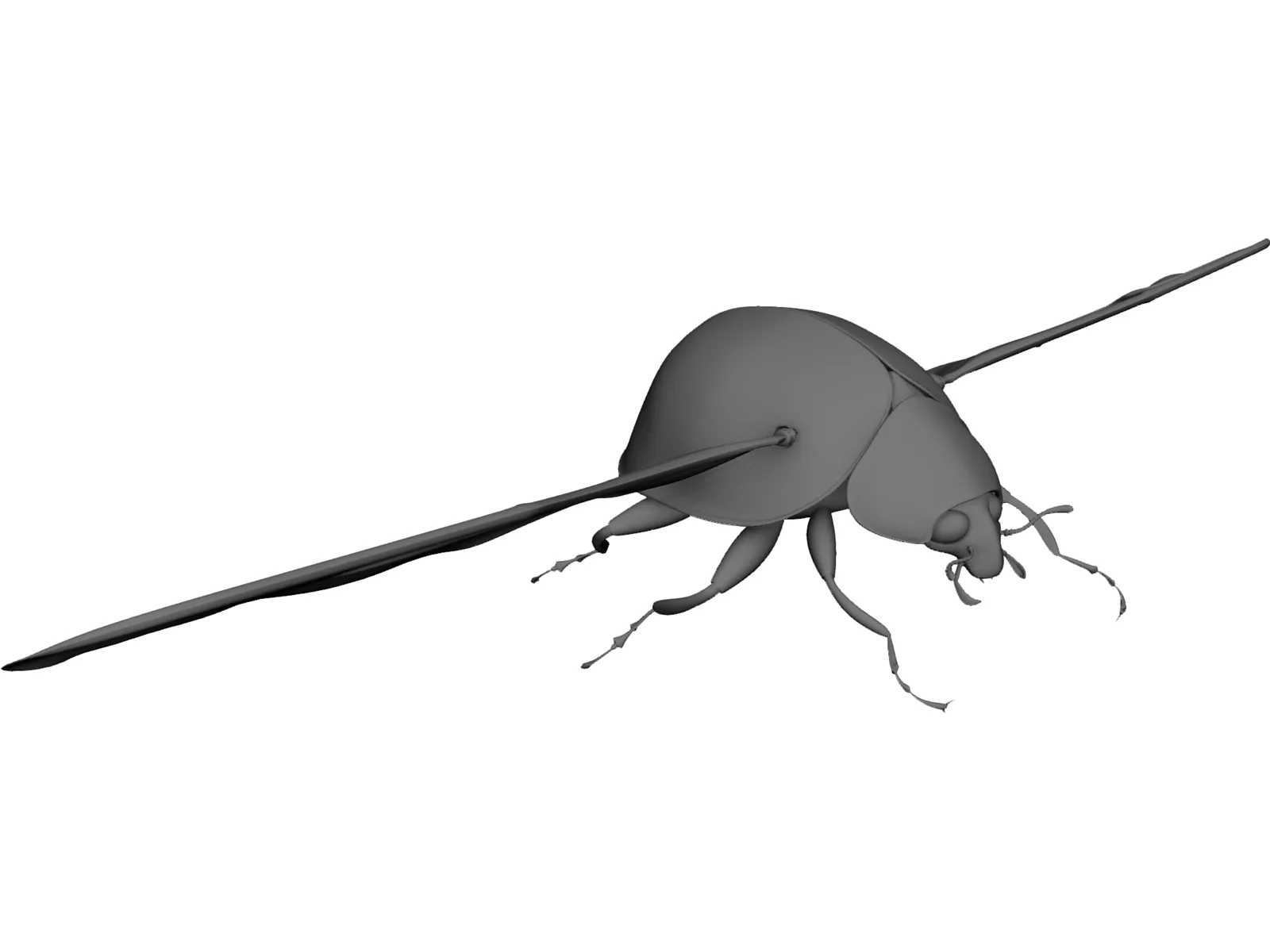 Ladybug 3D Model main preview