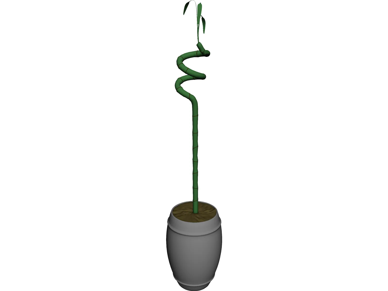 Bamboo 3D Model main preview