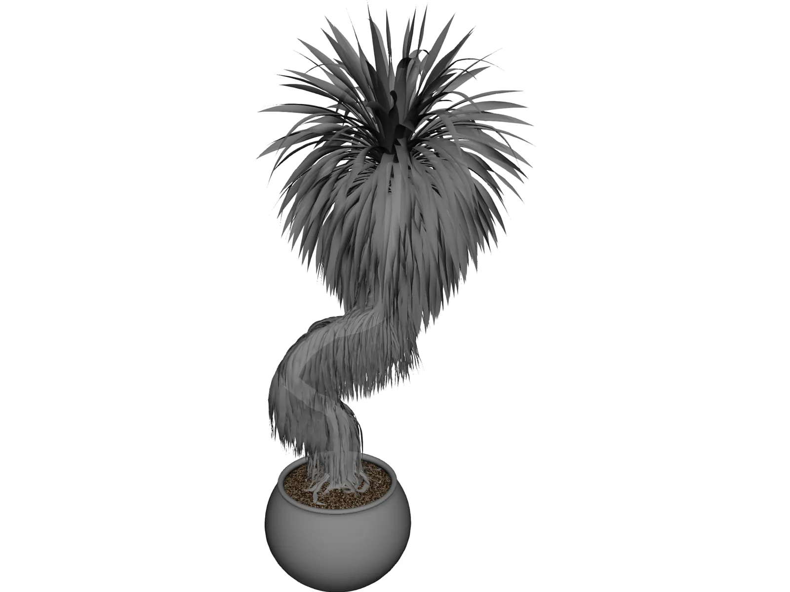 Bonsai Tree 3D Model main preview