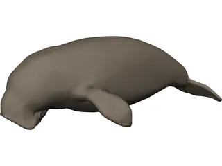 Dudongo 3D Model preview
