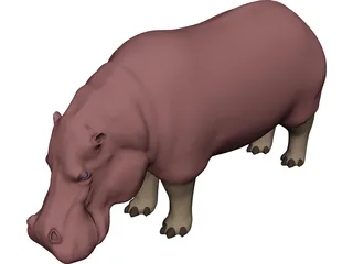 Hippopotamus 3D Model preview