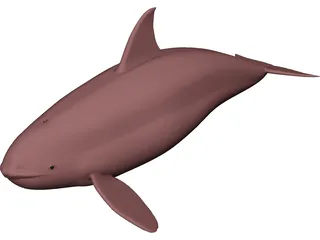 Whale Killer Female 3D Model preview