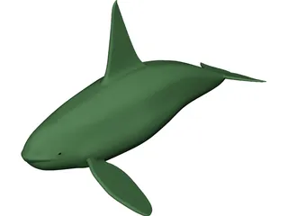 Whale Killer Male 3D Model preview