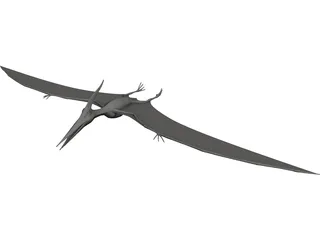 Pteranodon Ingens 3D Model preview