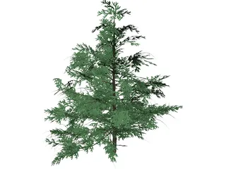 False Golden Larch 3D Model preview