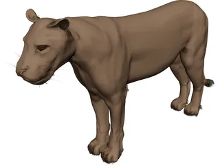 Lioness 3D Model preview