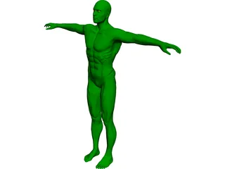 Swimmer 3D Model preview