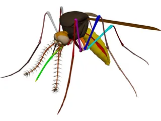 Mosquito 3D Model preview