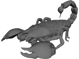 Scorpion 3D Model preview