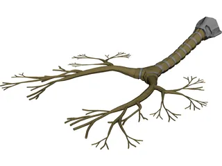 Bronchial Tree 3D Model preview