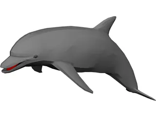 Dolphin 3D Model preview