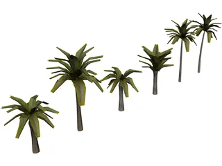 Palm Collection 3D Model preview