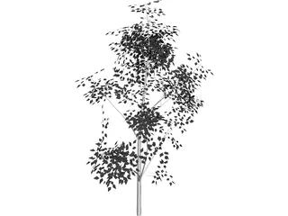White Ash 3D Model preview