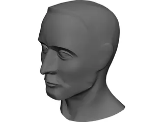 Head Male 3D Model preview