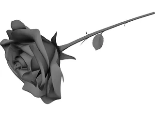 Rose 3D Model preview