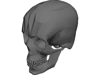 Skull 3D Model preview