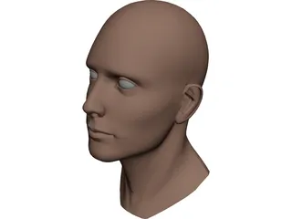 Head Male 3D Model preview