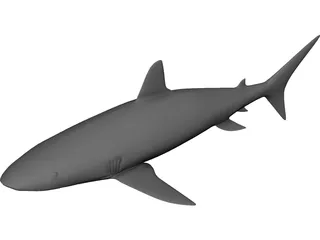 Shark 3D Model preview