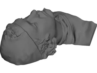Face Human Digitalized 3D Model preview