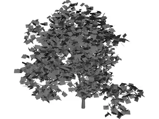 Acer Palmatum 3D Model preview