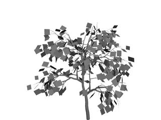 Weeping Higan Cherry 3D Model preview