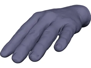 Hand Left 3D Model preview