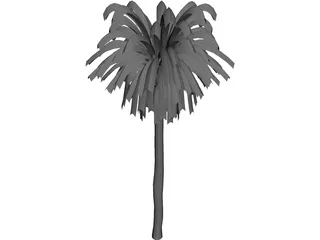 Palm Tree 3D Model preview