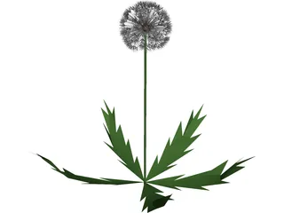 Dandelion 3D Model preview