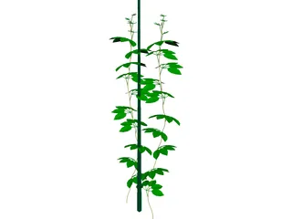 Plant 3D Model preview