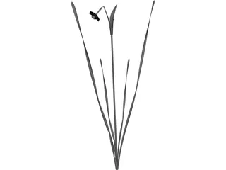 Suisen 3D Model preview