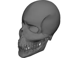 Skull 3D Model preview
