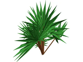 Palmetto Plant 3D Model preview