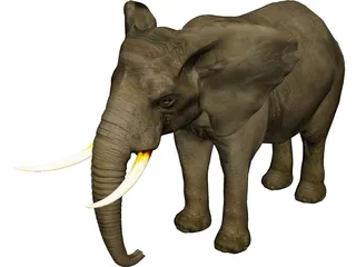 Elephant 3D Model preview