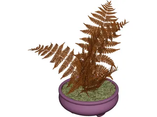 House Plant 3D Model preview