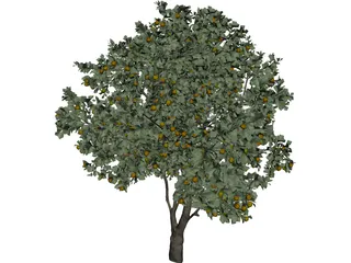Orange Tree 3D Model preview