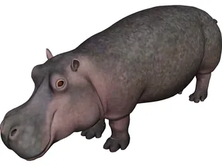Hippopotamus 3D Model preview