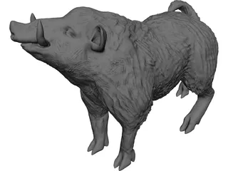 Wild Boar 3D Model preview