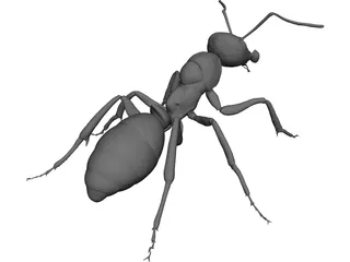Ant 3D Model preview