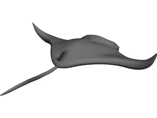 Manta Ray 3D Model preview