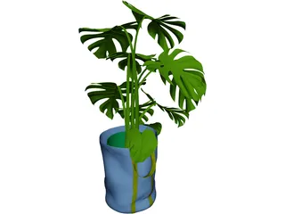 Monstera Deliciosa 3D Model preview